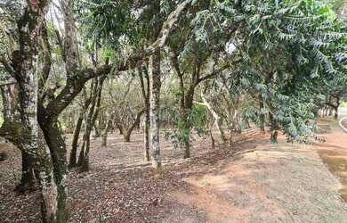 Imagem 6: Terreno (Em condomínio) à Venda, 1575m² - Bairro Vila de São Fernando em Cotia