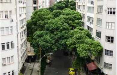 Imagem 7: Apartamento para Venda em Rio de Janeiro, COPACABANA, 3 dormitórios, 2 suítes, 3 banheiros