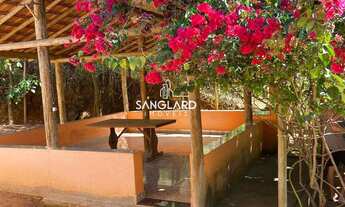 Imagem 3: Chácara em Joanésia com 2,36 hectares: casa, pomar, pasto, curral, nascente e poço de peix