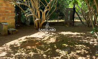 Imagem 6: Chácara em Joanésia com 2,36 hectares: casa, pomar, pasto, curral, nascente e poço de peix