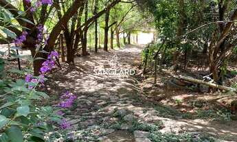 Imagem 7: Chácara em Joanésia com 2,36 hectares: casa, pomar, pasto, curral, nascente e poço de peix