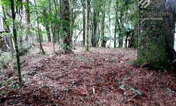 Imagem: Terreno, 640,00m², à venda em Canela