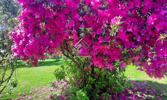 Imagem 3: Chácara à venda em Júlio de Castilhos, Val de Serra, com 2 quartos, 5,80ha