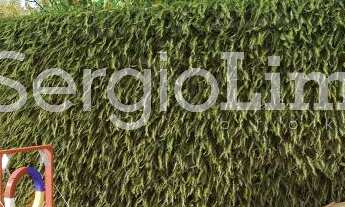 Imagem 6: Apartamento de luxo com 3 quartos, 122,00m², à venda em Recife, Monteiro