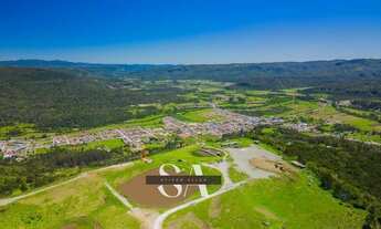 Imagem 2: Terreno 100% Asfaltado no Loteamento Jardim das Araucárias – Excelente Oportunidade de Com