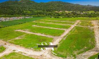 Imagem 3: Terreno 100% Asfaltado no Loteamento Jardim das Araucárias – Excelente Oportunidade de Com