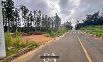 Imagem 2: Terreno Plano no Loteamento Monte Verde - Nova Veneza, 372m² com Infraestrutura Completa e