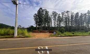 Imagem 5: Terreno Plano no Loteamento Monte Verde - Nova Veneza, 372m² com Infraestrutura Completa e