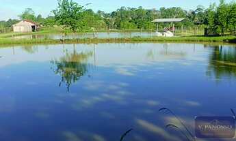 Imagem 3: Chácara à venda, 8500m² - Caiçara RS