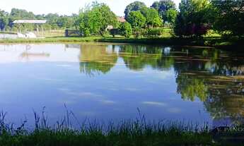 Imagem 4: Chácara à venda, 8500m² - Caiçara RS