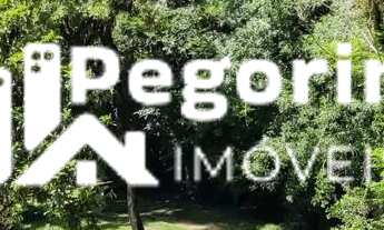 Imagem 6: Chácara 39.000M² Bocaiuva do sul