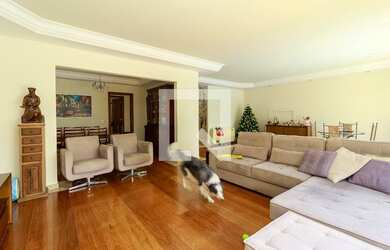 Imagem 4: Casa à Venda - Chácara Santo Antonio, 4 Quartos, 430 m2