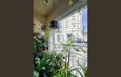 Imagem 5: Apartamento à Venda - Mooca, 3 Quartos, 102 m2