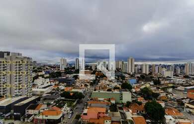 Imagem 6: Apartamento à Venda - Ipiranga, 3 Quartos, 114 m2