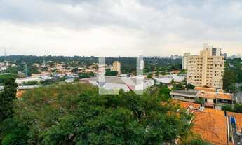 Imagem 7: Apartamento à Venda - Vila Mascote, 4 Quartos, 300 m2