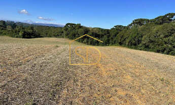 Imagem: Espetacular Área Rural no Caminho do Vinho