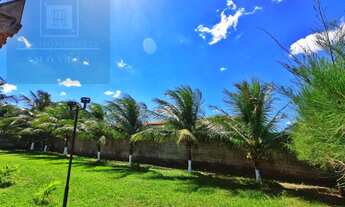 Imagem 2: Belo Sítio / Chácara à venda no Aquiraz - 200m da CE-040 - 1287