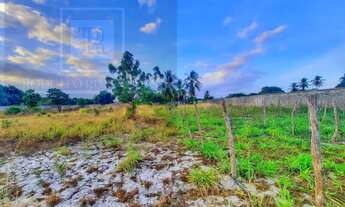 Imagem: Sítio à venda no Aquiraz - Patacas - 11800m2