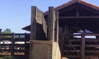 Imagem 3: FAZENDA A VENDA EM INOCENCIA MS