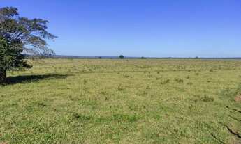 Imagem 4: FAZENDA A VENDA EM INOCENCIA MS