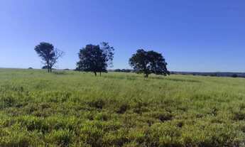 Imagem 5: FAZENDA A VENDA EM INOCENCIA MS