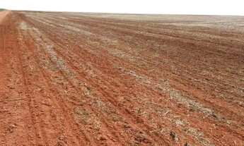 Imagem 3: Fazenda à venda Xingu-MT