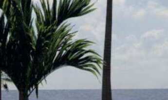 Imagem 2: O Seu Novo Pé na Areia em Tamandaré/PE!