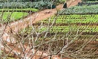 Imagem 7: Chácara c/ Piscina a Venda - Bal. Piçarras SC