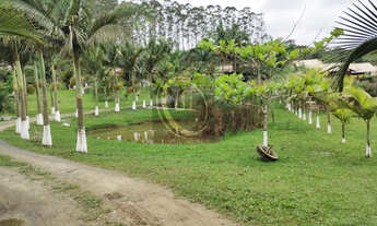 Imagem 2: CH0001 -Bal. Piçarras SC - Chácara