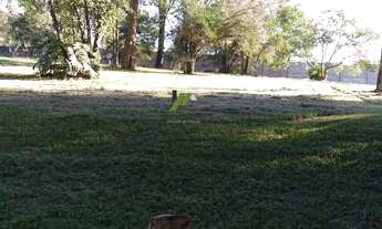 Imagem 4: EXCELENTE TERRENO EM CONDOMÍNIO DE ALTO PADRÃO