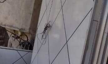 Imagem 4: Casa com 2 quartos, 130m², à venda em Mogi das Cruzes, Cocuera