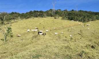 Imagem 1: Sítio com 2 quartos, 14 Alqueires Paulista, à venda em Igarata SP