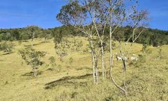 Imagem 5: Sítio com 2 quartos, 14 Alqueires Paulista, à venda em Igarata SP