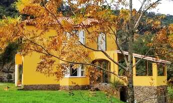 Imagem 2: Sítio com 4 quartos, 6,3 ha, à venda em Morro Reuter - RS