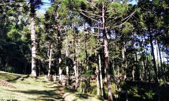 Imagem 6: Sítio com 4 quartos, 6,3 ha, à venda em Morro Reuter - RS