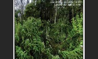 Imagem: Oportunidade Única em NOVA FRIBURGO - RJ