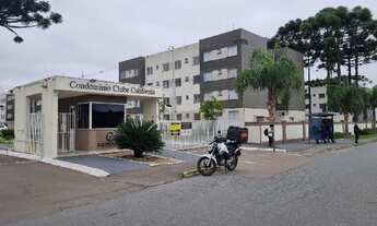 Imagem: Oportunidade Única em CAMPO LARGO - PR