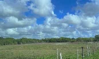 Imagem: Oportunidade Única em PARACURU - CE Tipo