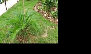 Imagem: Oportunidade Única em RIO DE JANEIRO