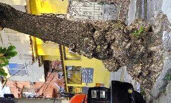 Imagem: Oportunidade Única em RIO DE JANEIRO