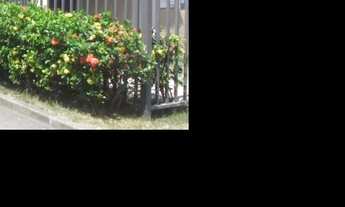 Imagem: Oportunidade Única em RIO DE JANEIRO