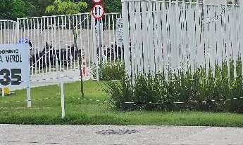 Imagem: Oportunidade Única em RIO DE JANEIRO