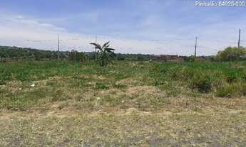 Imagem: Oportunidade Única em PINHALAO - PR Tipo