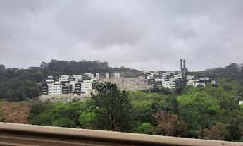 Imagem: Oportunidade Única em ALMIRANTE TAMANDARE