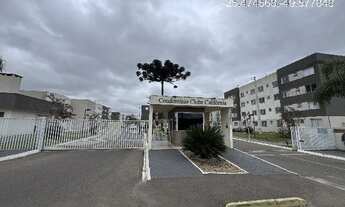 Imagem: Oportunidade Única em CAMPO LARGO - PR