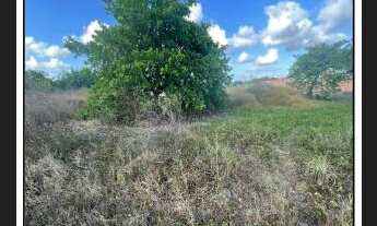 Imagem: Oportunidade Única em HORIZONTE - CE