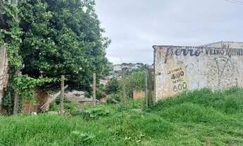 Imagem: Oportunidade Única em ALMIRANTE TAMANDARE