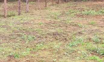 Imagem 2: TERRENO EM MARANDUBA PLANO COM ÁGUA E LUZ