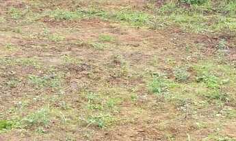 Imagem 4: TERRENO EM MARANDUBA PLANO COM ÁGUA E LUZ