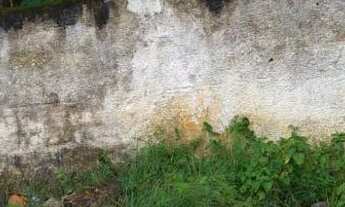 Imagem: TERRENO ESTUFA II PROXIMO AO FORUM